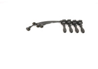 Ignition Cable Kit BS842 Bosch