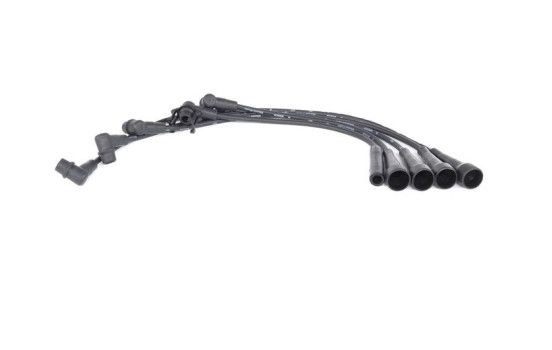 Ignition Cable Kit BW254 Bosch