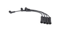 Ignition Cable Kit BW256 Bosch
