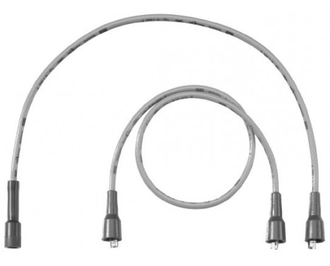 Ignition Cable Kit C13 Beru