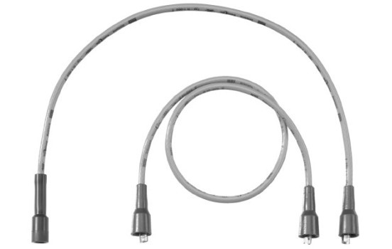 Ignition Cable Kit C13 Beru