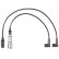 Ignition Cable Kit C30 Beru