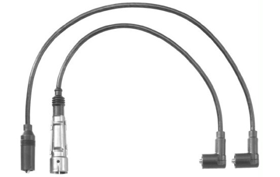 Ignition Cable Kit C30 Beru
