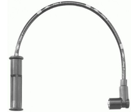 Ignition Cable Kit C40 Beru