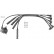 Ignition Cable Kit ZE575 Beru