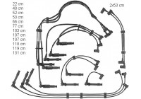 Ignition Cable Kit ZE751 Beru