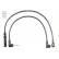 Ignition Cable Kit ZEF1190 Beru