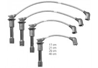 Ignition Cable Kit ZEF1360 Beru