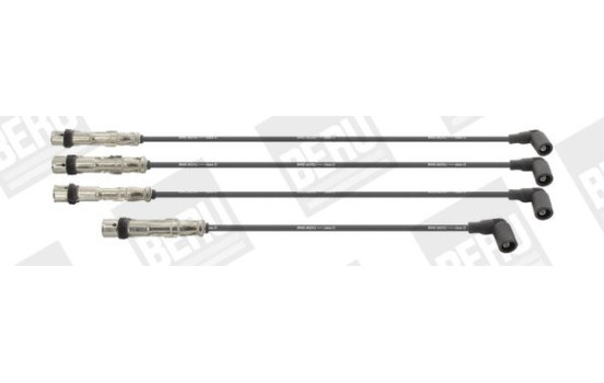 Ignition Cable Kit ZEF1629 Beru