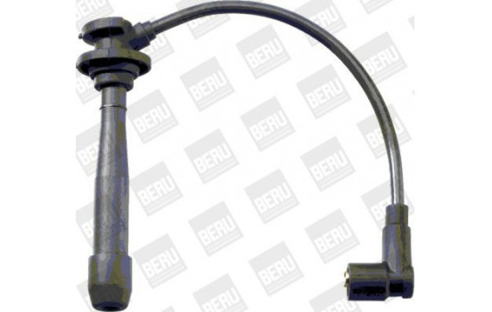 Ignition Cable Kit ZEF1641 Beru