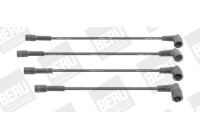 Ignition Cable Kit ZEF1655 Beru