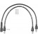 Ignition Cable Kit ZEF570 Beru