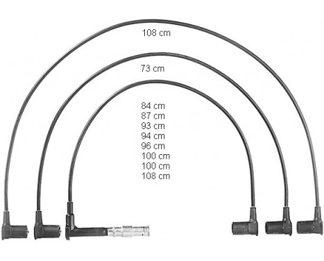 Ignition Cable Kit ZEF598 Beru