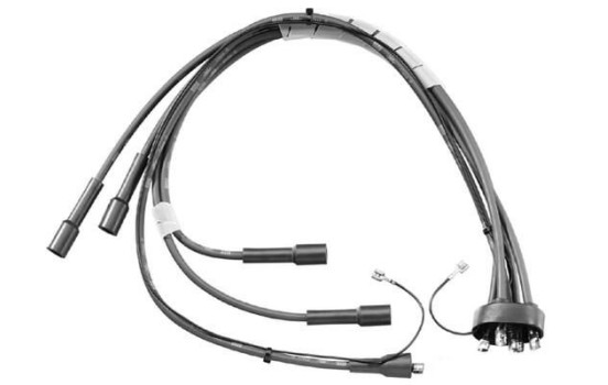 Ignition Cable Kit ZEF802 Beru, Image 2