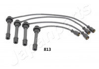 Ignition Cable Kit