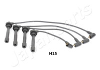 Ignition Cable Kit