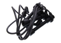 Ignition Cable Kit