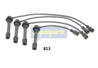 Ignition Cable Kit