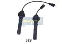 Ignition Cable Kit