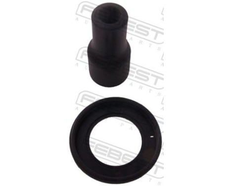 Plug, coil
