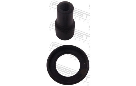 Plug, coil