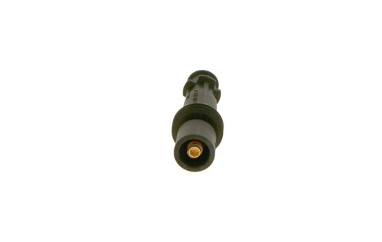 Plug, spark plug 0 356 100 107 Bosch