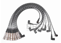 Spark plug cable set