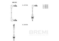 Spark plug cable set