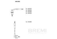 Spark plug cable set