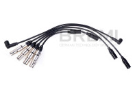 Spark plug cable set