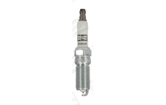 Spark plug CCH9299 Champion