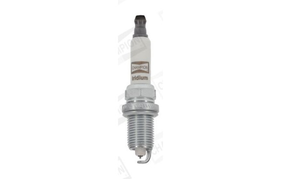 Spark plug CCH9803 Champion