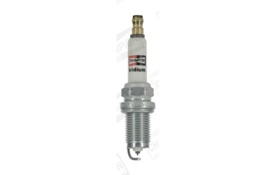 Spark plug CCH9813 Champion