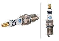 Spark plug Iridium Pro