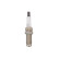 Spark Plug MULTI GROUND ELECTRODE OE262 Champion