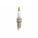 Spark Plug PLATINUM OE176/T10 Champion