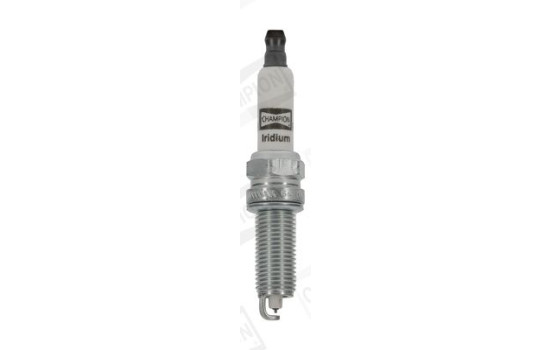 Spark Plug IRIDIUM CCH9060 Champion