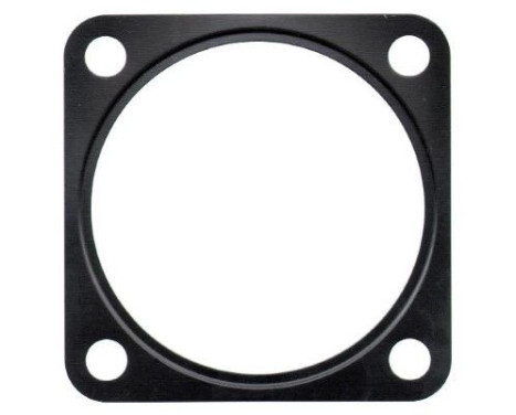 Gasket/ Seal