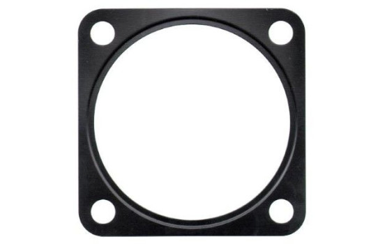 Gasket/ Seal