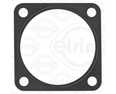 Gasket/ Seal