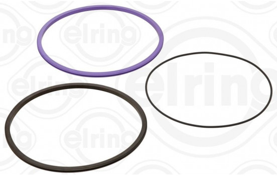 Gasket set, cylinder liner