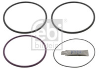 Gasket set, cylinder liner