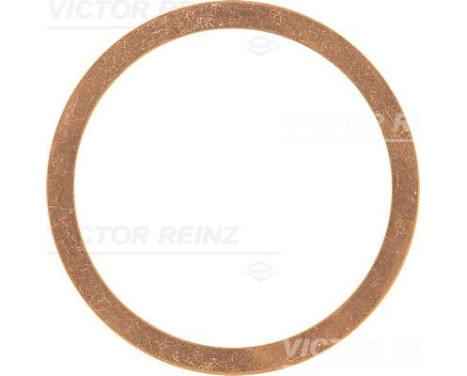 Gasket, cylinder head 41-70580-00 Viktor Reinz