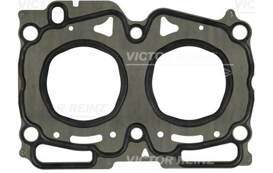 Gasket, cylinder head 61-10113-00 Viktor Reinz