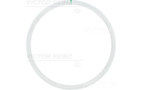 Gasket, cylinder head 61-25315-10 Viktor Reinz