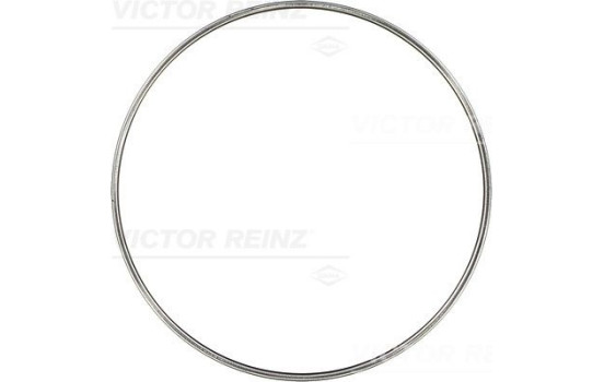 Gasket, cylinder head 71-29154-00 Viktor Reinz