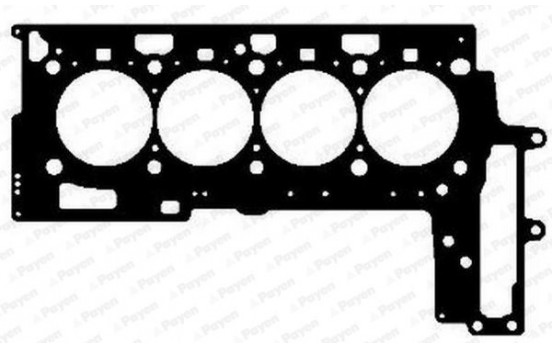 Gasket, cylinder head AG5030 Payen