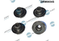 Gasket, cylinder head