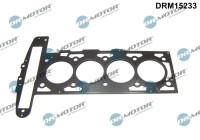 Gasket, cylinder head