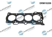 Gasket, cylinder head